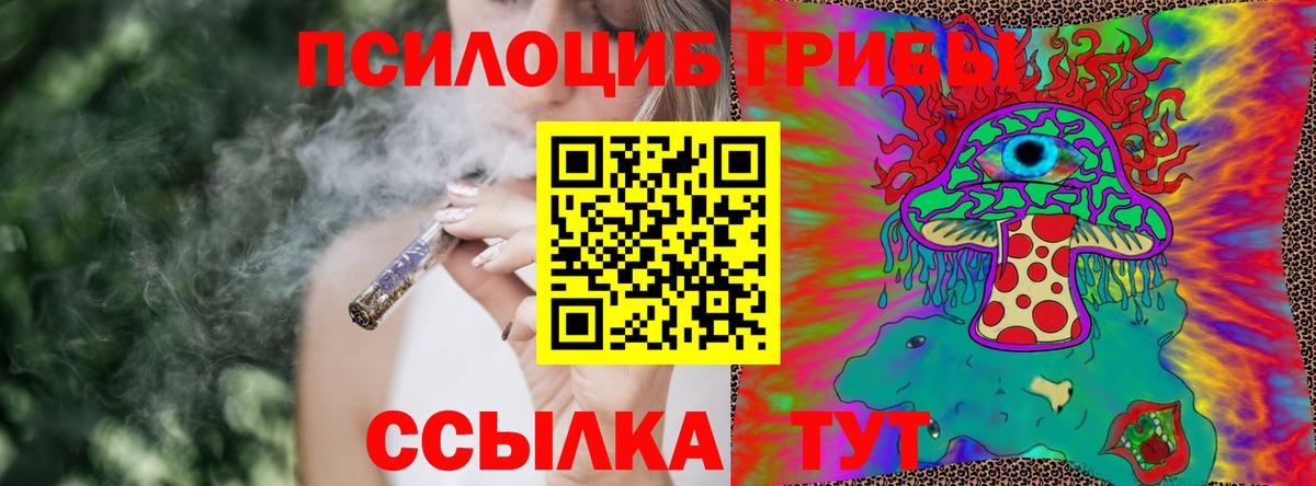 Псилоцибиновые грибы Psilocybe Минеральные Воды